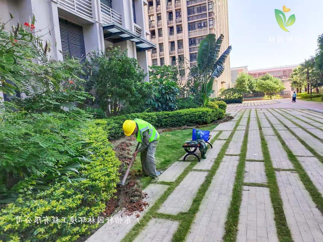 广州雪域澜庭小区绿化养护工作现场图